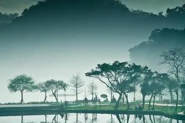 深入解析2021425的命理奥秘，探索人生的秘密与启示