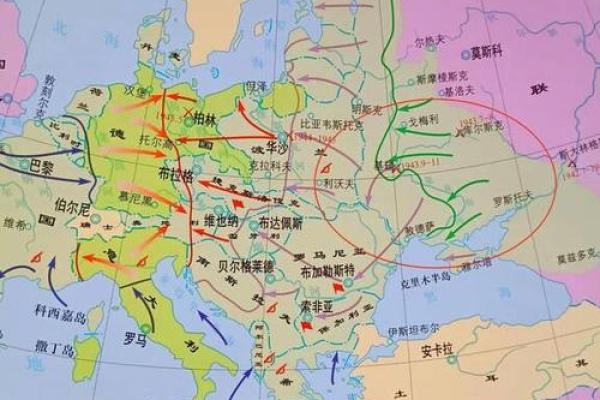 1944年出生的命运解析：探索不同命运背后的密码