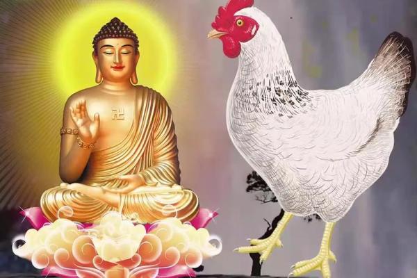 1993年腊月属鸡的命运与人生解析