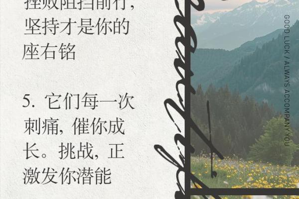 2323年属什么命？揭秘未来命理与人生轨迹