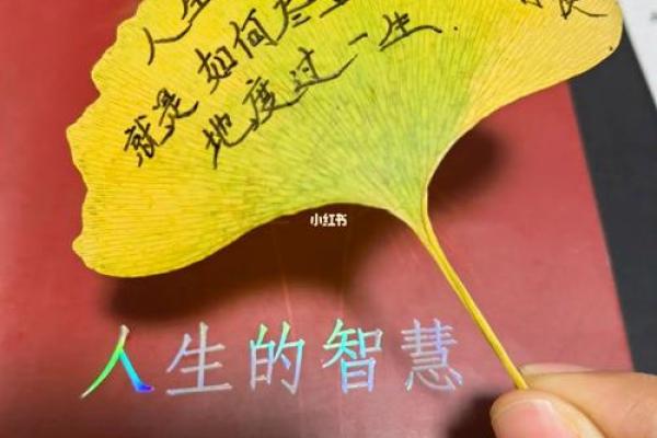 好什么什么什么命成语大全：探索生活中的智慧与乐趣