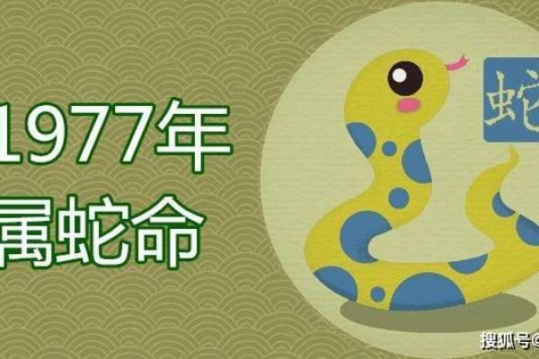 2001年出生的蛇是什么命？揭秘他们的性格与命运