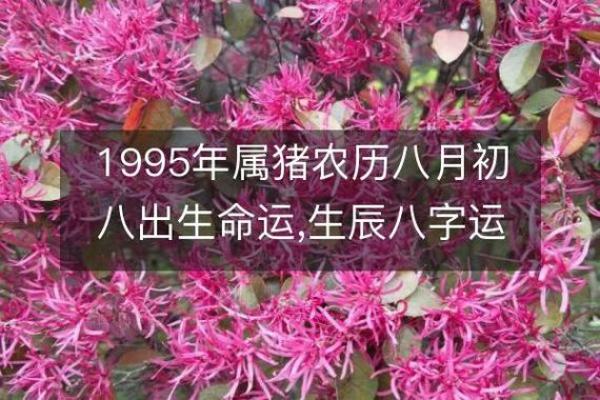 1998年属猪人士命运解析：揭开你的一生财富与事业之路！