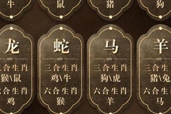 正月十六属猪的人生运势与命理解析