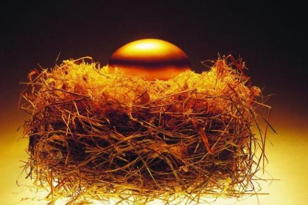 2007年属猪人的命运解析：财富、性格与未来展望