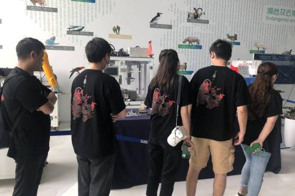 为什么老杨一命等于六命？探寻生命的奥秘与价值