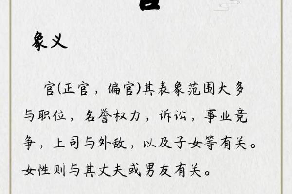 属相女官太太的命理与人生智慧探究