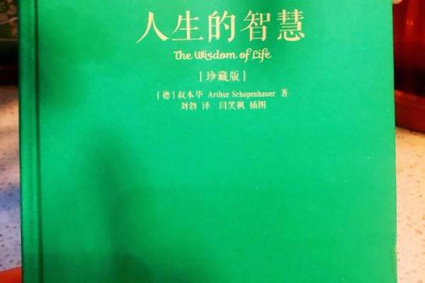 用成语解密命运之谜，探寻人生的深意与智慧