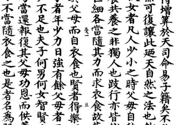 探寻“夫子何命焉”的深意，解读命运与智慧的交融之旅