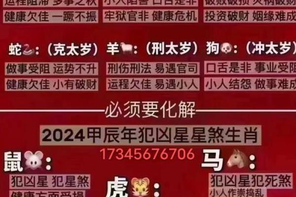 中国传统命理：生肖与命运的奇妙关系