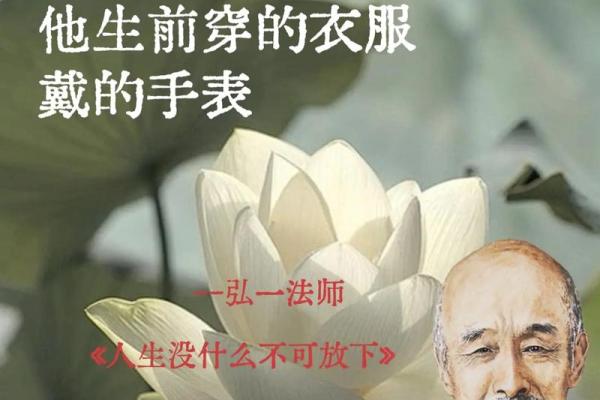 什么我幸，什么我命：人生中的选择与机遇