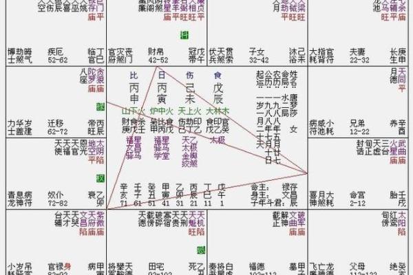 紫薇命盘解密：探寻命格背后的神秘与启示