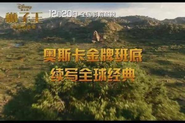 1905年的命运与特点：一段精彩的人生旅程