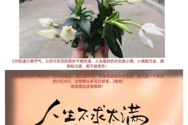 探寻农历1993年出生者的命理密码与人生之路