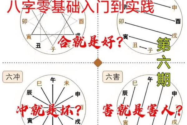 命理揭秘：6命与零命的深刻差异与应用解析