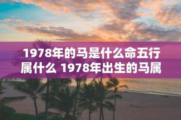 1985年水命的命运解析与生活调理