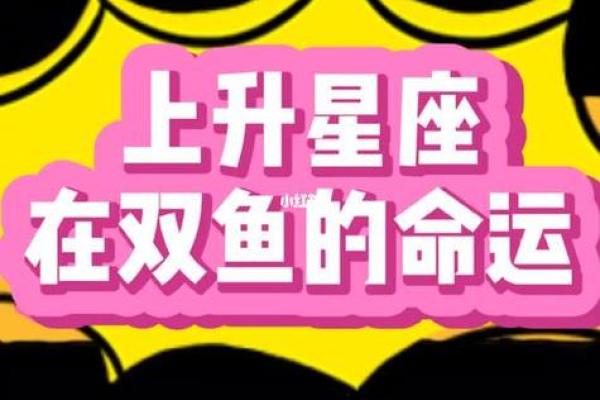 探索命运：哪些星座和生肖组合会让你的人生最辉煌？