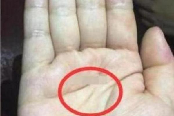 命理解析：大财的真正内涵与获取之道