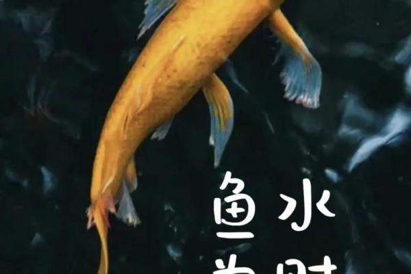 命理解析：大财的真正内涵与获取之道