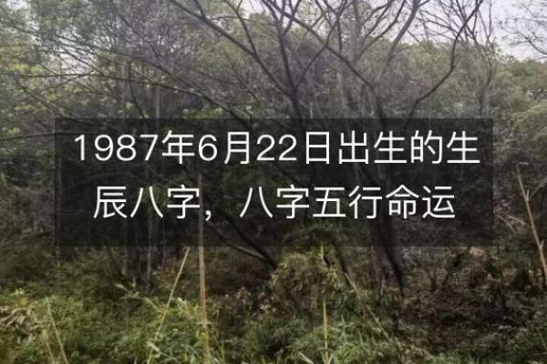 1987年出生的人命运解析：命理与人生的奇妙交织