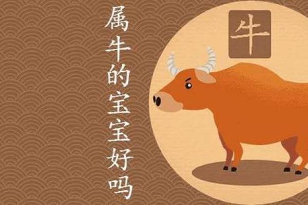 2021年属什么命最好：探索牛年五行与命理的奥秘