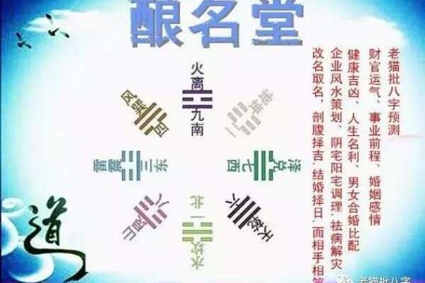己巳大林木命的最佳命配——探索命理中的和谐与相生之道