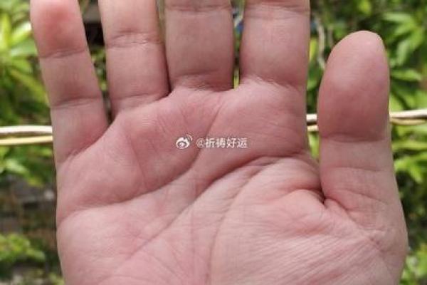 探秘20000412出生者的命运与性格特征