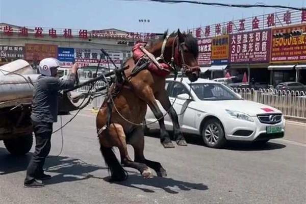 富命不如贵命：何为命运的真正价值？
