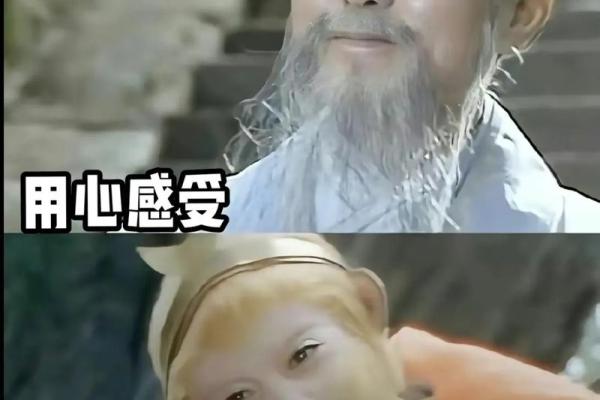 1979年土命的秘密：你未曾了解的命运轨迹与人生哲学