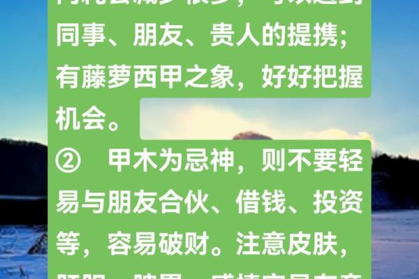探索乙木命与木命的奥秘：阴阳五行的不同世界