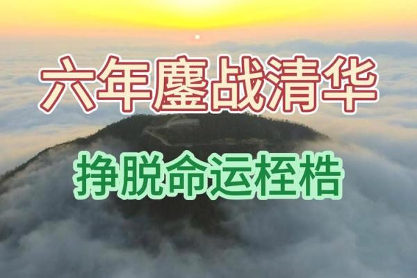 如何根据命理破解天罗地网，走出命运的桎梏