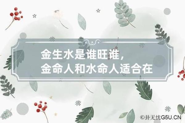 金命男与水命女的行业匹配：幸福职业发展的黄金组合