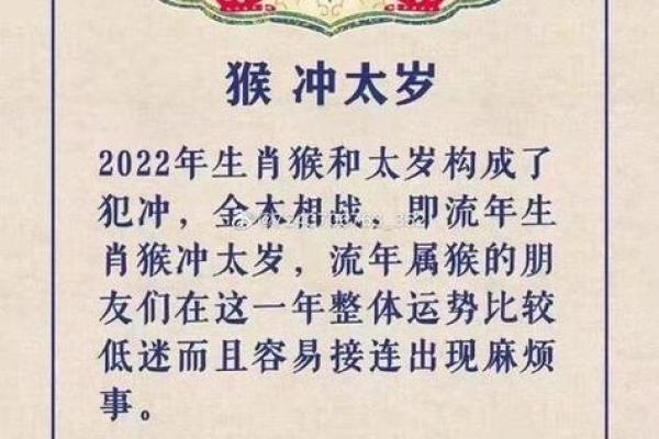 92年属猴的人，命理解析与生活启示