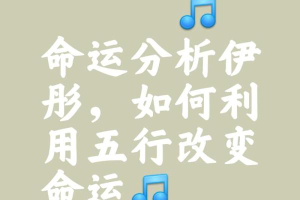 2023年的命理分析：你的命是如何被生肖和五行影响的？