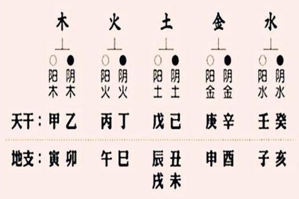 五行命理中的旺水命：揭示水的神秘力量与生活的深刻影响