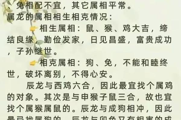 2030年属狗人的命运解析：揭示他们的未来与运势
