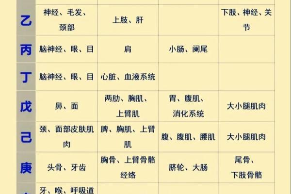 1991年8月4日出生的命运解析——探寻八字中的秘密与人生智慧