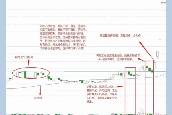 一九零五年命理解析：揭示生命中的潜在力量与发展机遇