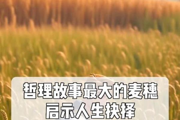 解析农历1996年2月8日出生命运的奥秘与人生启示
