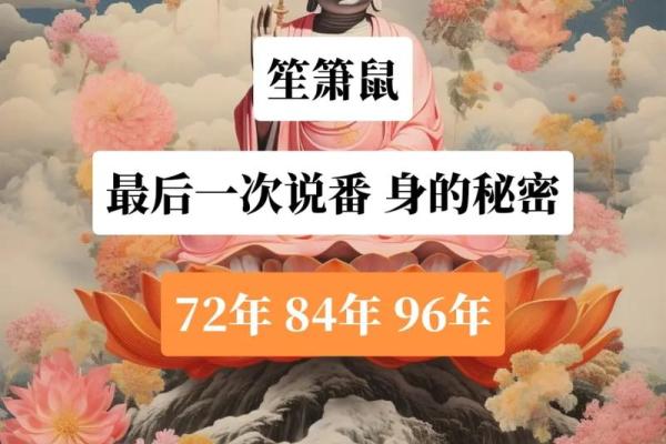 1996年出生的老鼠命，究竟有何特别之处？