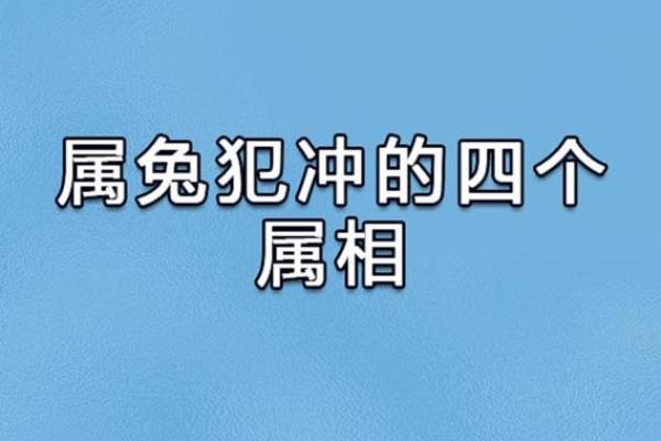 探索1984年出生的鼠年人的命运与性格特点