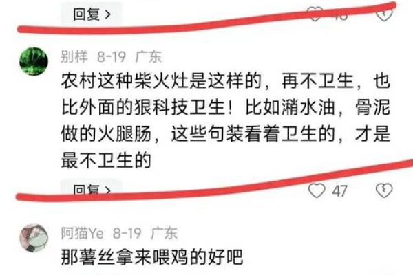 2019年2月1日出生的命运解析：探寻生活中的机遇与挑战
