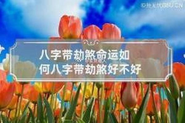 命里有灾：探秘命理中的灾难与解救之道