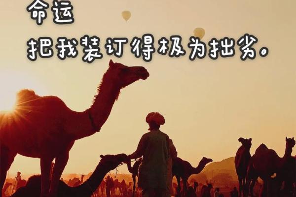 出生体重与命运的秘密：揭示生命的微妙联系
