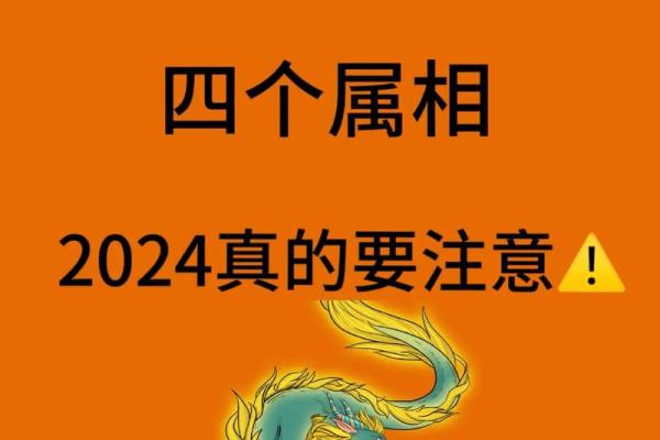 属龙木命与哪些命最配？揭开命理中的神秘面纱！