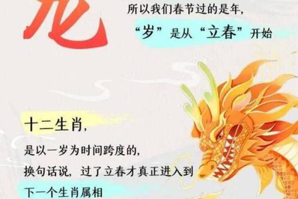 生肖与命理：探寻属相与命运的奥秘，寻找内心的平衡与和谐