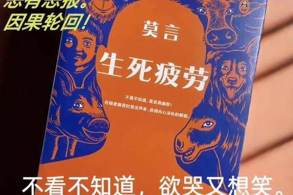命运的轮回：相信与否的心灵思考