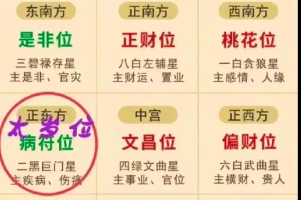 火木相生，命中注定的公司名字启示