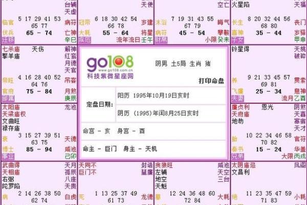 命主禄存身主文昌之命的深度解读与生活启示