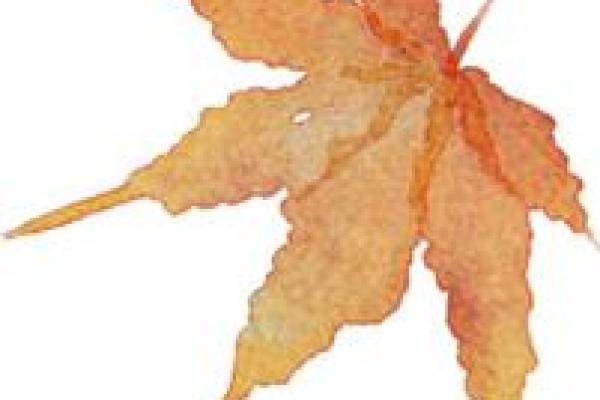 月刃格女性与其理想伴侣：命格搭配的深度解析